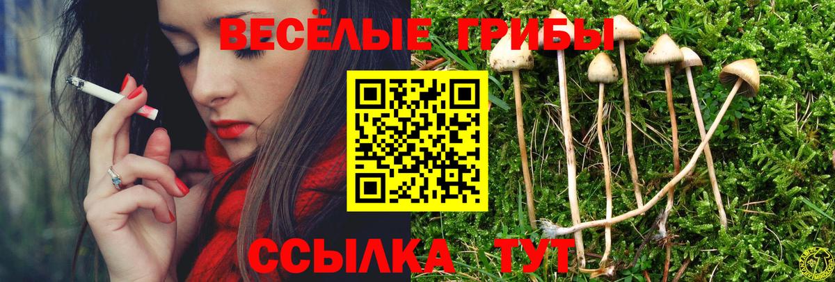 Псилоцибиновые грибы GOLDEN TEACHER  Вход с VPN  Курганинск 